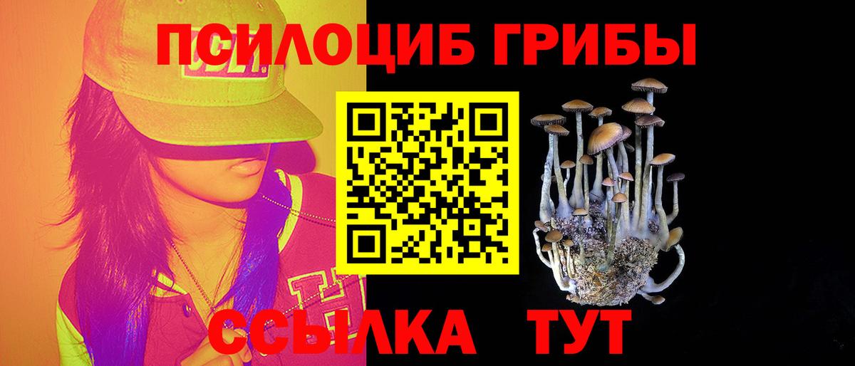 Галлюциногенные грибы мухоморы  купить наркоту  Калуга  Псилоцибиновые грибы Psilocybine cubensis  Вход с VPN 